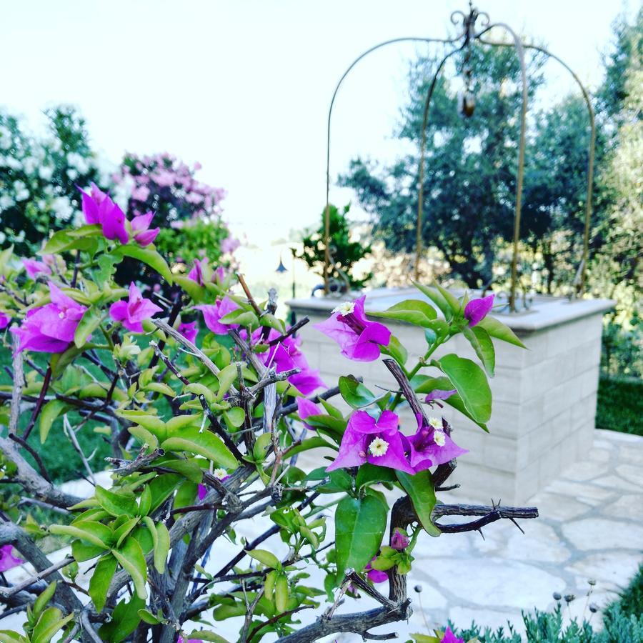 B&B Le Dive Ostra Exterior foto